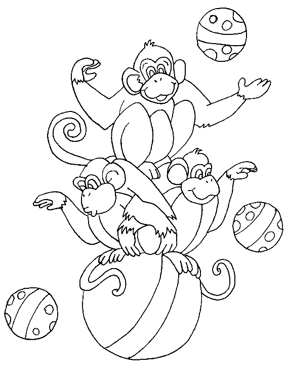 scimmie circo disegni da colorare gratis per bambini