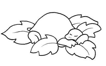 tartaruga_che_dorme_nelle_foglie