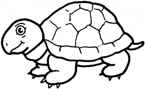tartaruga_disegno_per_bambini